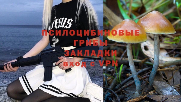 a pvp Алексин