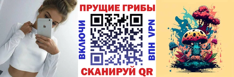 Псилоцибиновые грибы Cubensis  сколько стоит  площадка телеграм  Томмот 